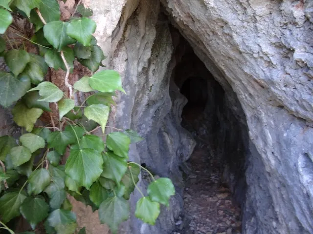 Cova del Cingle dels òbits