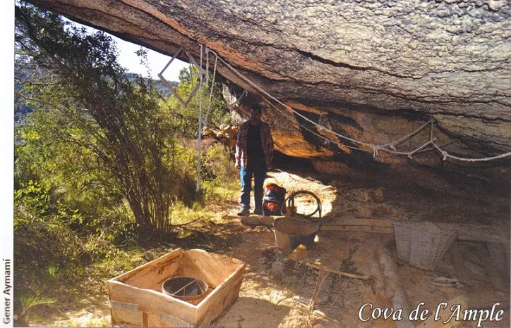 Cova de l'Ample