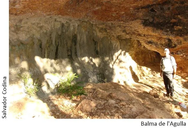 Balma de l'Agulla