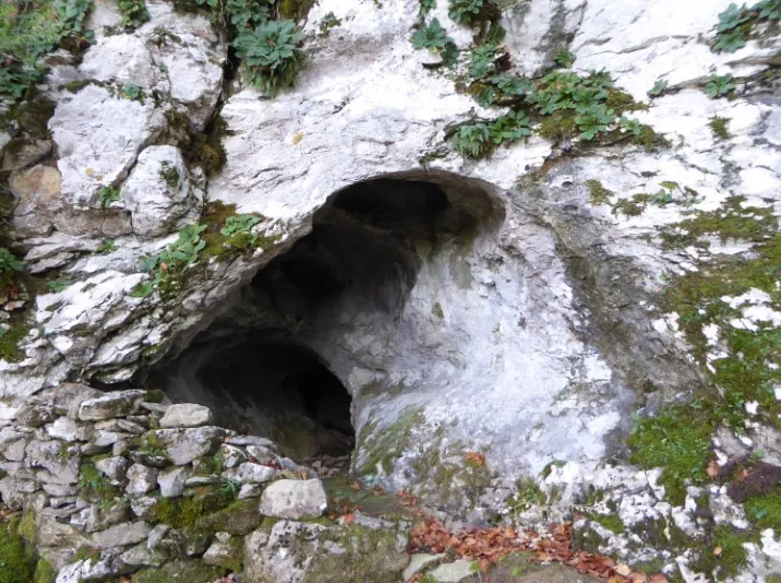 Cova d'en Massot