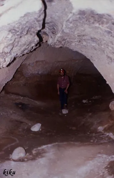 Cova del Serpent