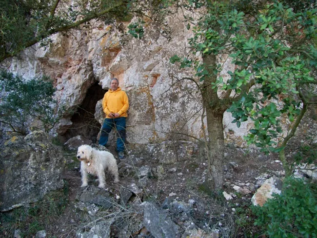 Cova dels Picons