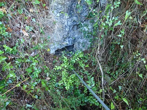 Cova del Tallafocs