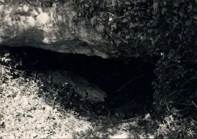 Ullal de Pasqual