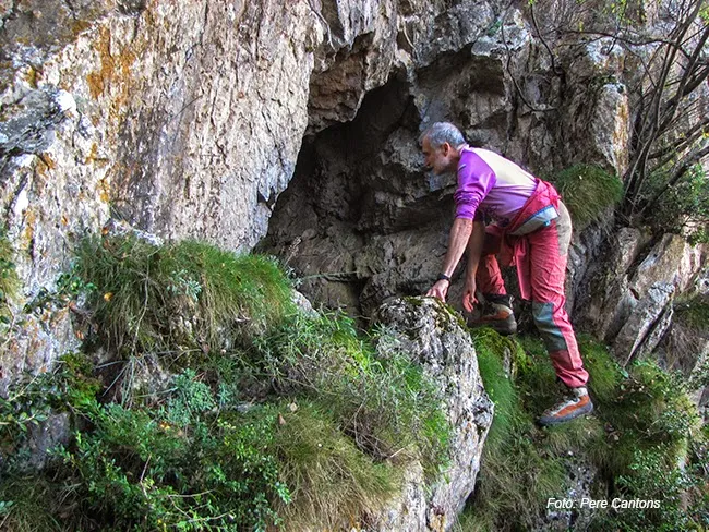 Forat del Collet de Nas