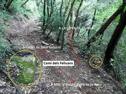 Cova de l'Endal