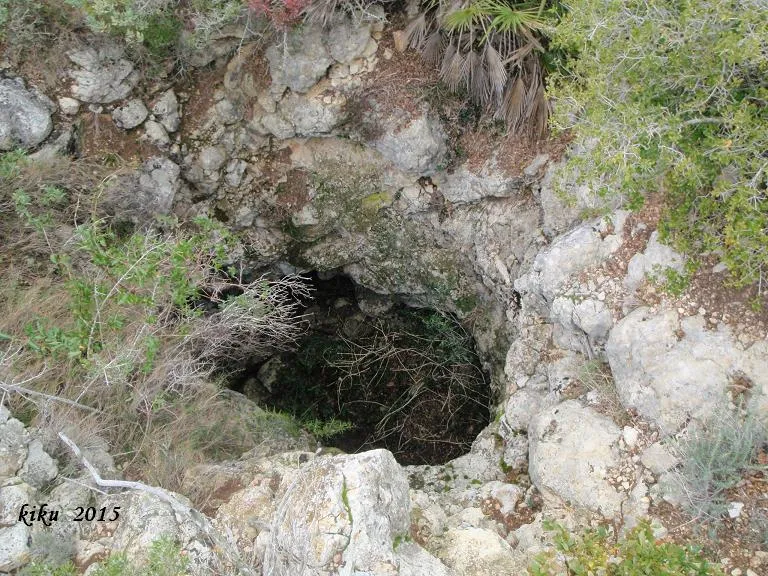 Avenc de Puig Francàs