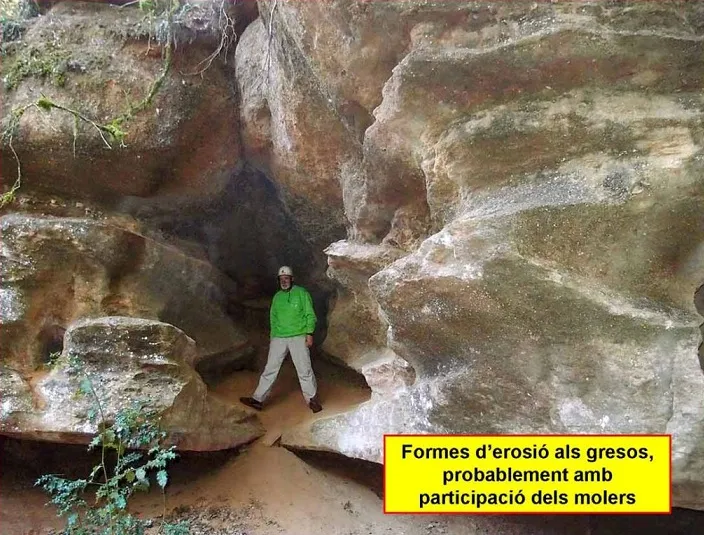 Baumes de la Molera d'ausió
