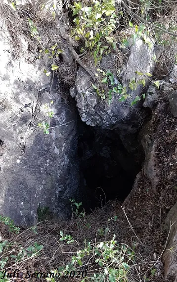 Avenc del Barranc