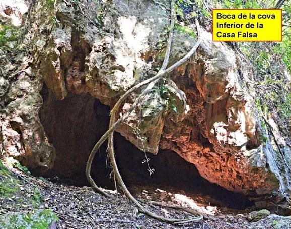 Cova Inferior de la Casa Falsa