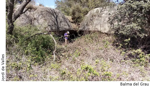 Balma del Grau