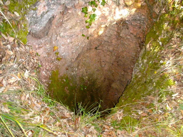 Avenc de les Roquisses