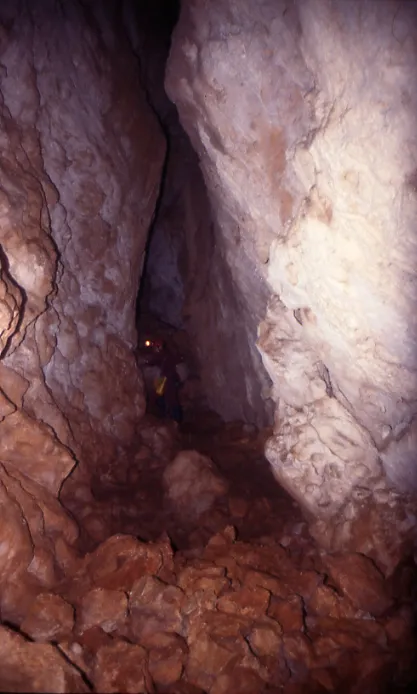 Querant Petit de Paús