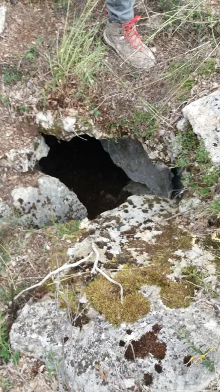 Forat de les Cases Noves