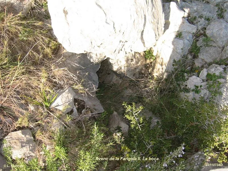 Avenc de la Farigola Ii