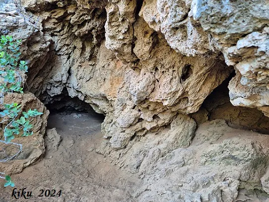 Cova de l'Olivera