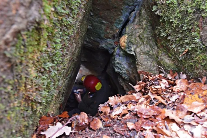 Cova Primus