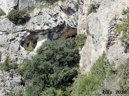 Cova del Cingle de l'abellera