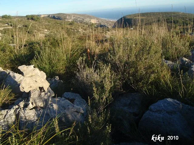 Avenc de la Guixa