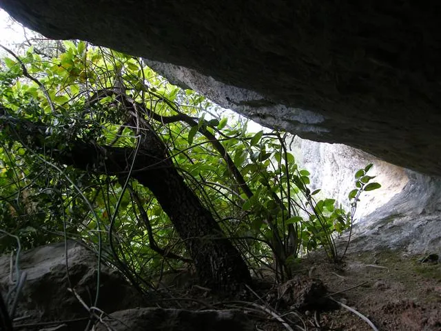 Cova d'Estenalles