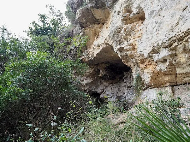 Cova del Buco