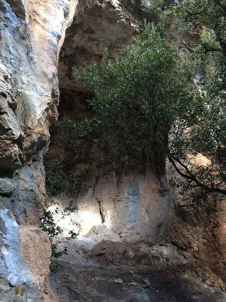 Foto Tuta del Senglar