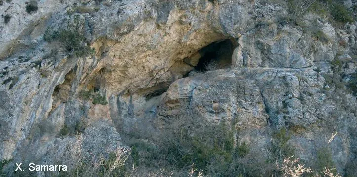 Espluga Nº3 dels Lladres