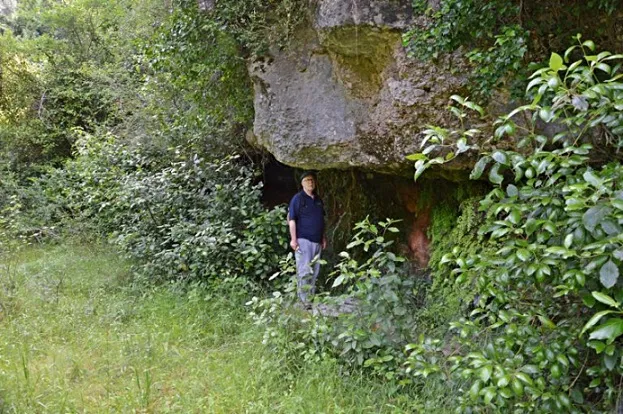 la Foranca