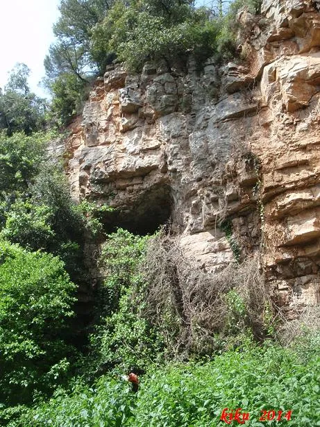 Cova Ii de l'Afrau