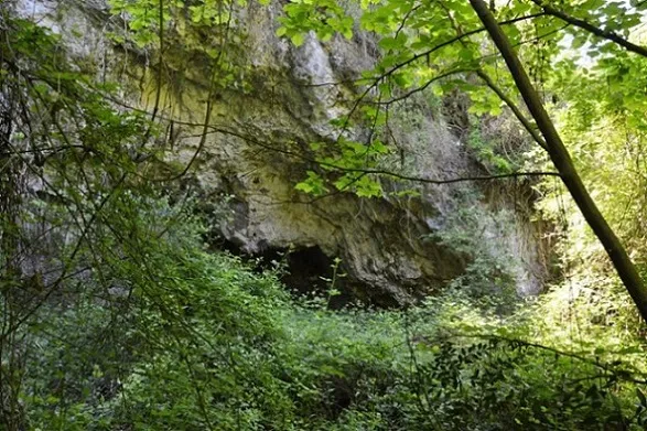 Balma del Noguer