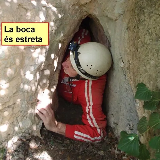 Cova de Roquerols