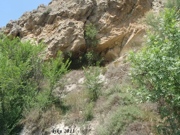 Balma de les Abelles