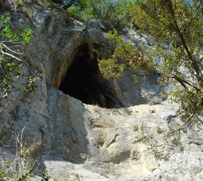 Cova Cent-vint (120)