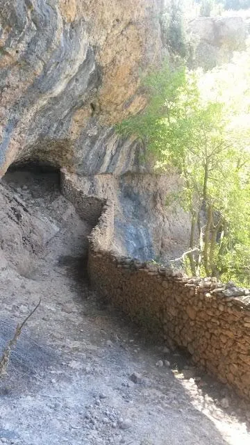 Espluga del Codó