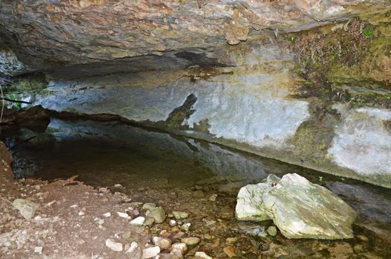 Foto Balma del Molí Vell