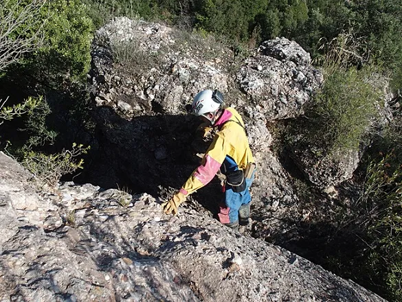 Cova de l'Era dels Enrics