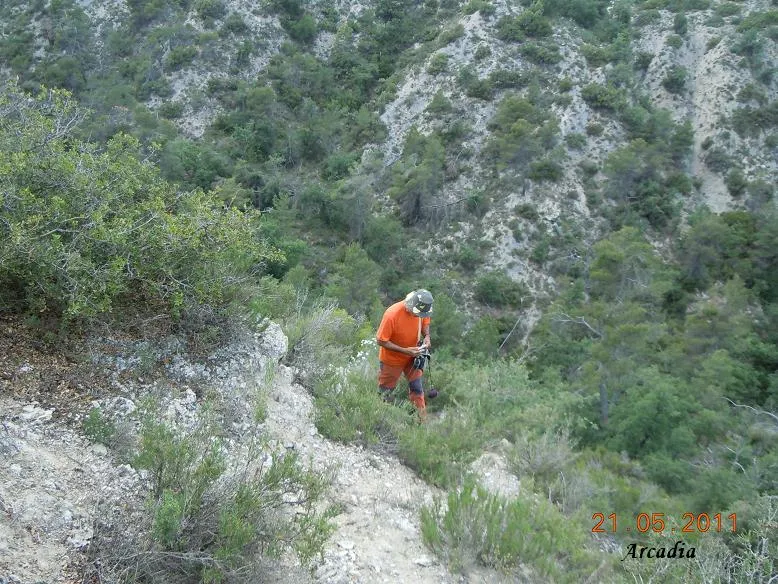 Cova dels Enconills