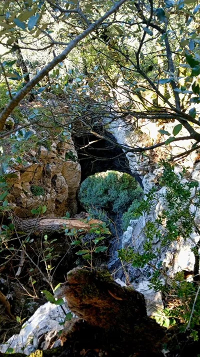 Foto l'Ull de Montmajor