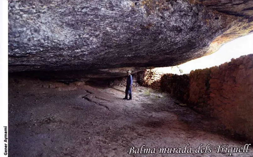 Balma Murada dels Triquell