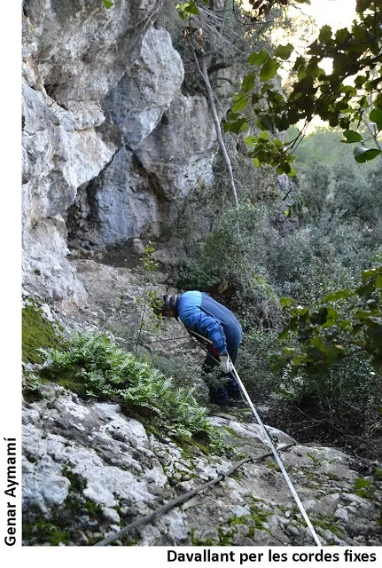 Coves dels Bous