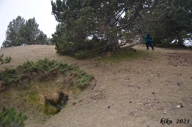 Avenc de la Torrota