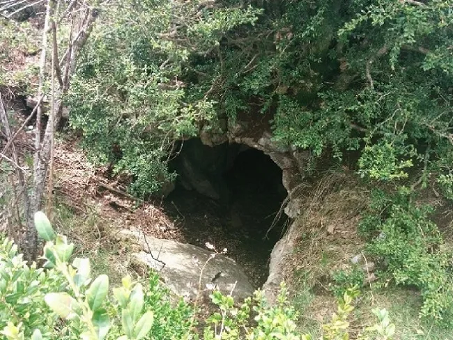 Cova del Pla de Vaca
