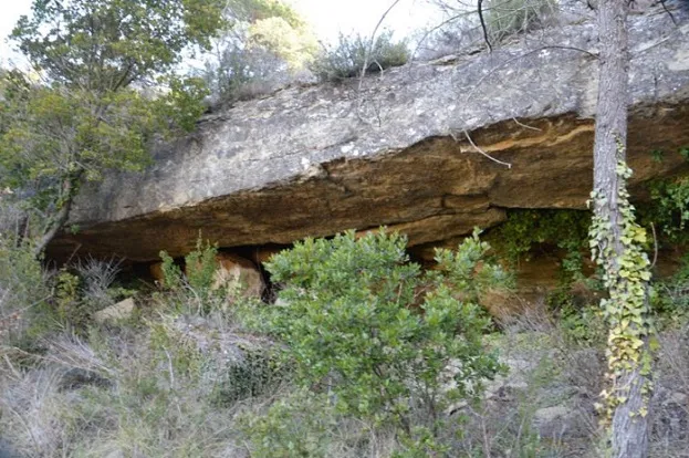 Bauma del Serrat de la Rectora