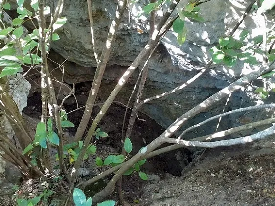 Avenc del Púdol