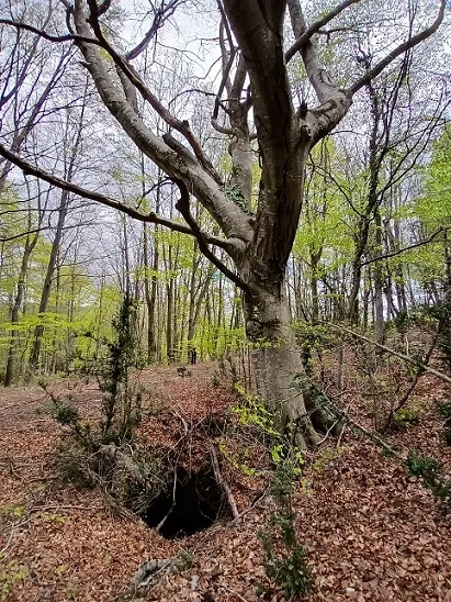 Avenc del Coll de l'alec