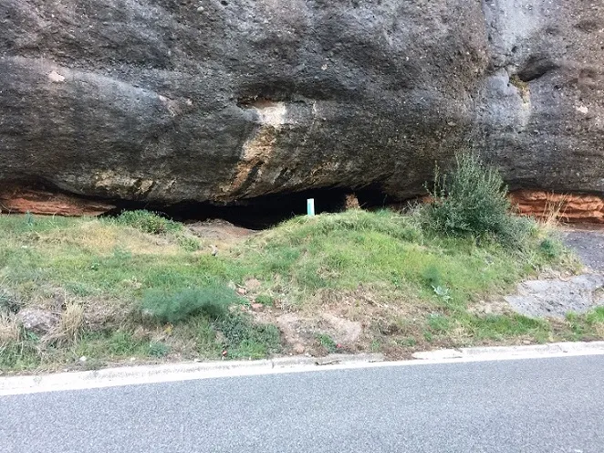 Coves d'en Carner