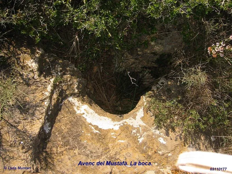 Avenc del Mustafà