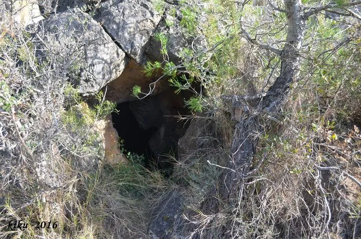 Cova del Manyé