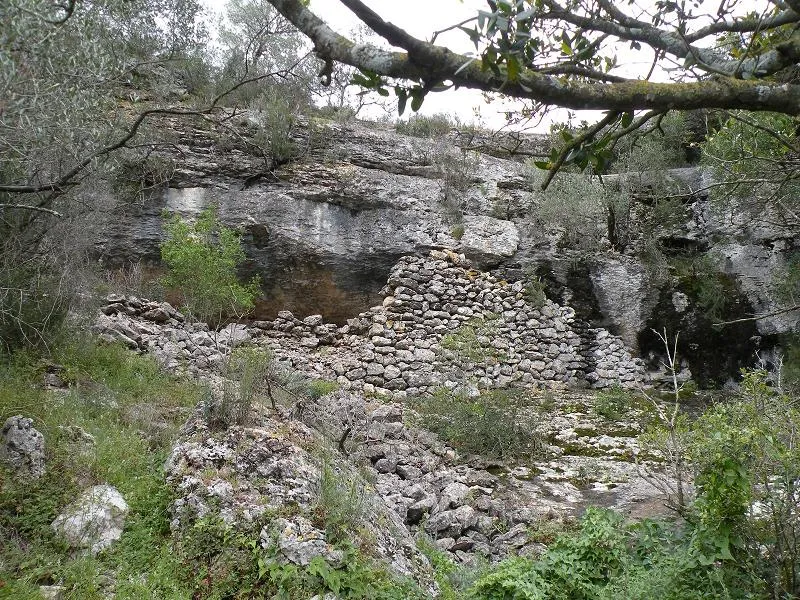 Cova d'en Panís