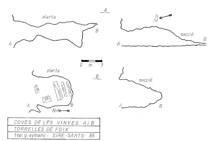 Coves de les Vinyes